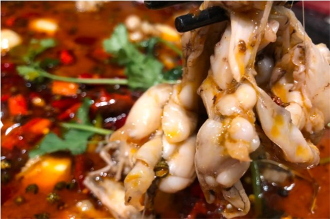 三不渝鱼蛙火锅加盟