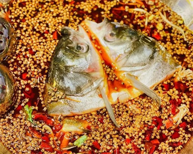 龙门飞鱼美蛙鱼头火锅加盟