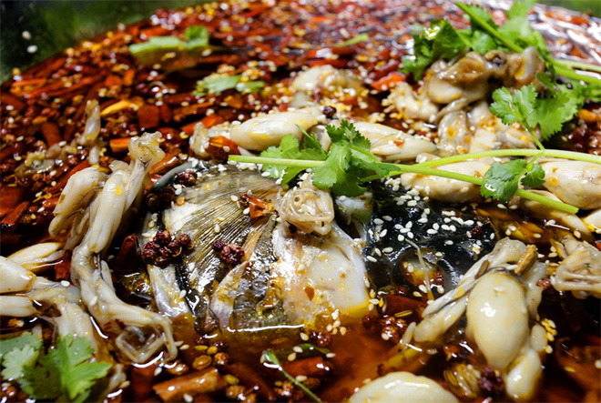 龙门飞鱼美蛙鱼头火锅加盟