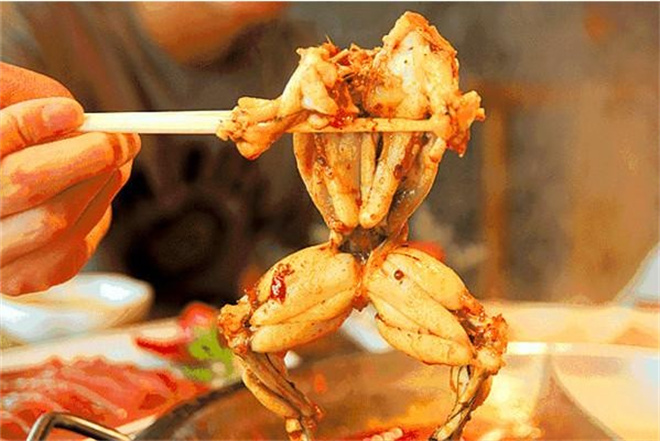 小南房鲜美蛙火锅