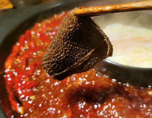 大棠重庆老火锅 大棠重庆老火锅