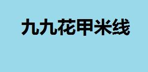 九九花甲米线