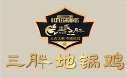 皖北巫氏三胖地锅鸡